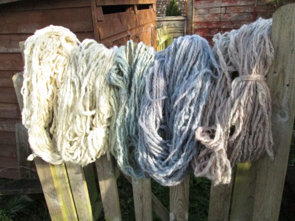 Hanks of wool yarn hanging on a fence showing the range of blue colours