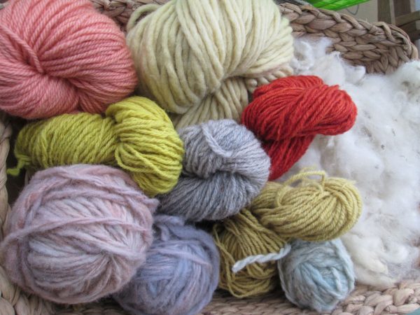 hanks of wool yarn showing the colours achieved iwth natural dyes