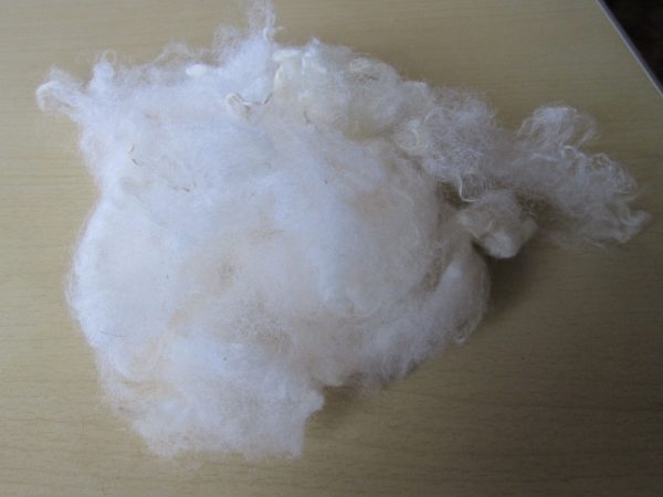 washed raw grade 1 portland fleece showing texture and colour