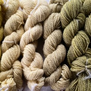 Yellow and Green Yarn