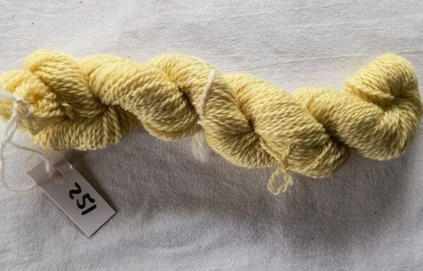 twisted skein of yellow yarn on a white background