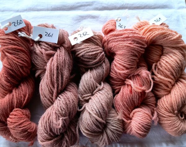 five twisted skeins of yarn ranging in colour from russet red on the left, through red- brown to salmon pinks on the right